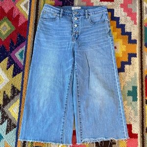 Madewell Button Fly Wide Leg Crop Jean